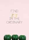 find in the ordinary poster