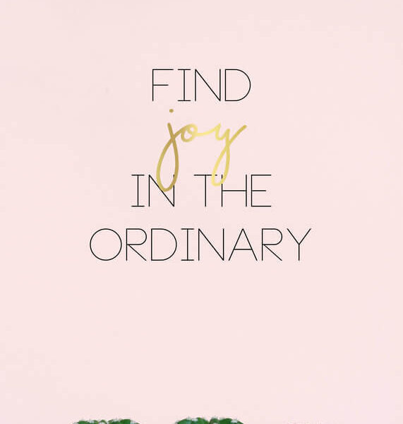 find in the ordinary poster